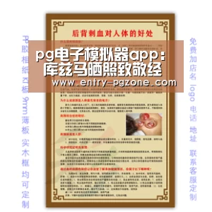 pg电子模拟器平台